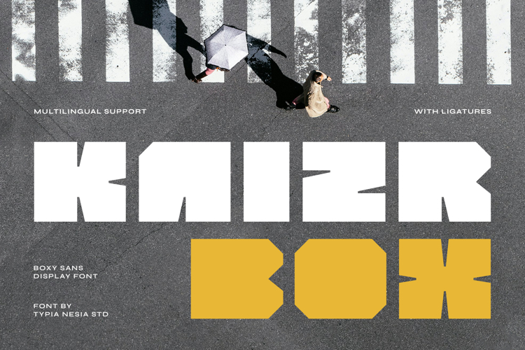 Kaizr Box - Bold   Modern Boxy Sans Display Font