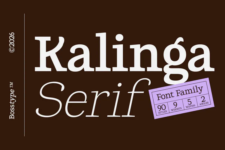 Kalinga | 91 Style Font