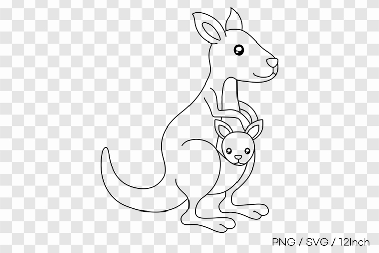 Mama Australian wild kangaroo pouch joey PNG animal clipart