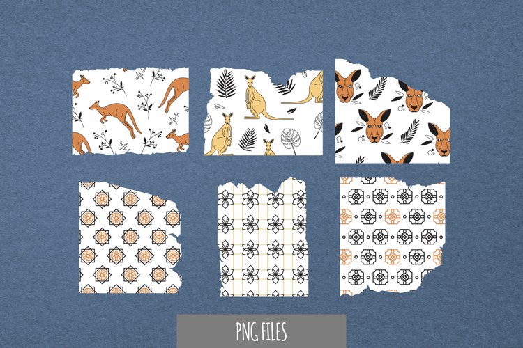 Kangaroo Png Image 15