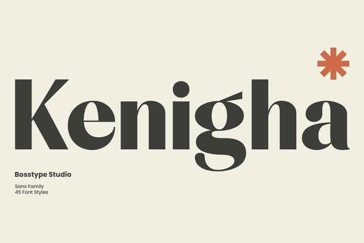 Kenigha - Super Family Font In 46 Styles