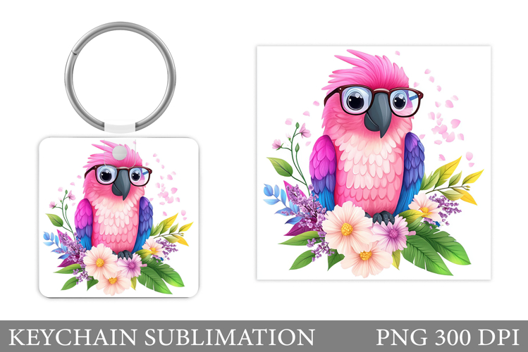 Parrot Clipart Image 18