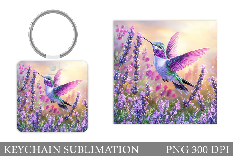 Hummingbird Clipart Image 15