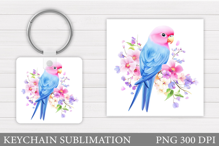 Parrot Clipart Image 5