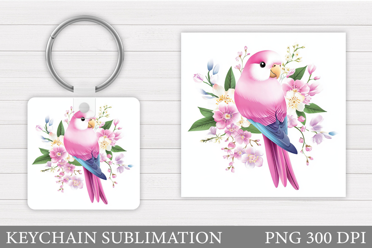 Parrot Clipart Image 4