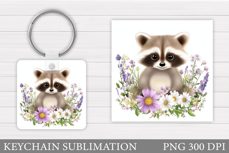 Raccoon Clipart Image 18