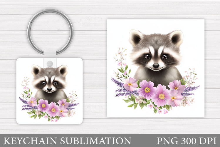 Raccoon Clipart Image 17