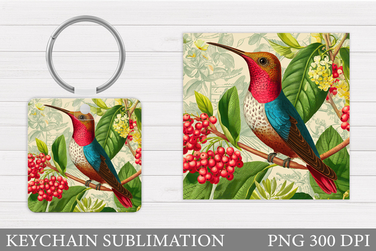 Hummingbird Clipart Image 6