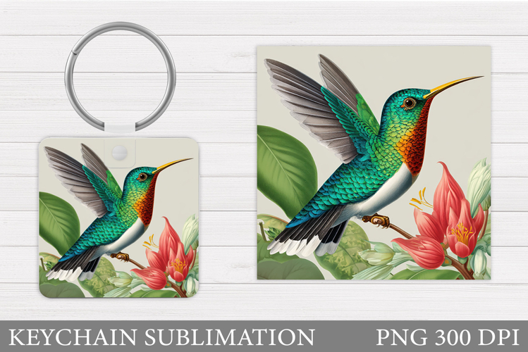 Hummingbird Clipart Image 4