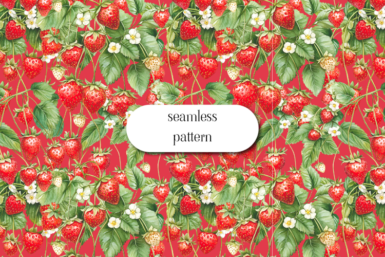 Fruit Illustration Image 3