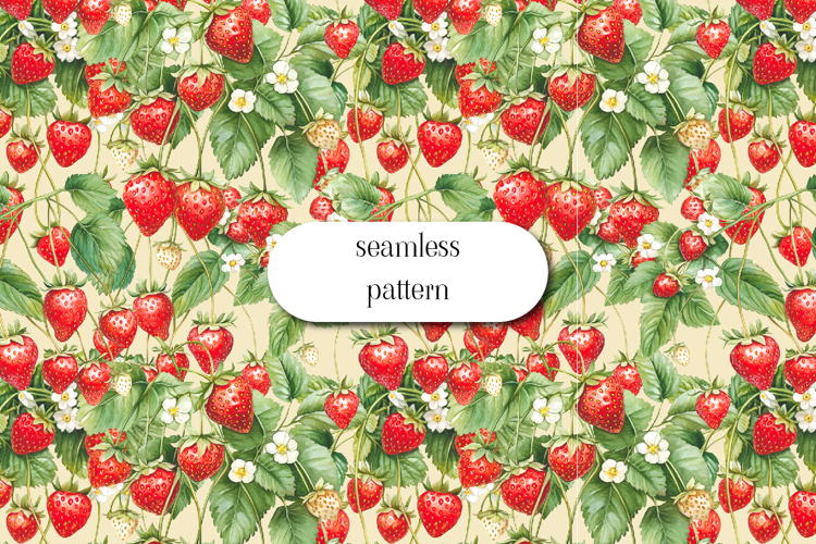 Fruit Illustration Image 2