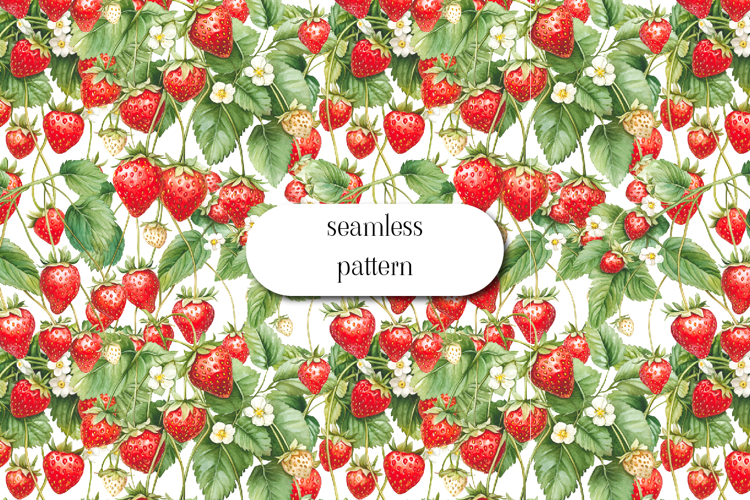 Fruit Illustration