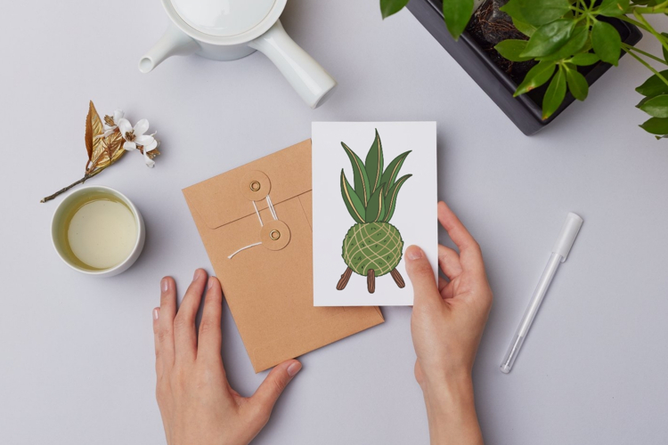 12 Hand-Drawn Kokedama Illustrations and 6 Seamless Patterns