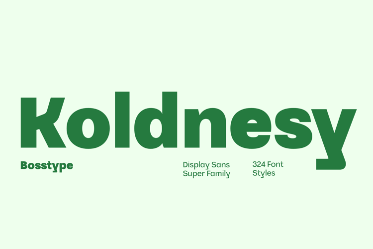 Koldnesy - Super Family Font In 324 Styles