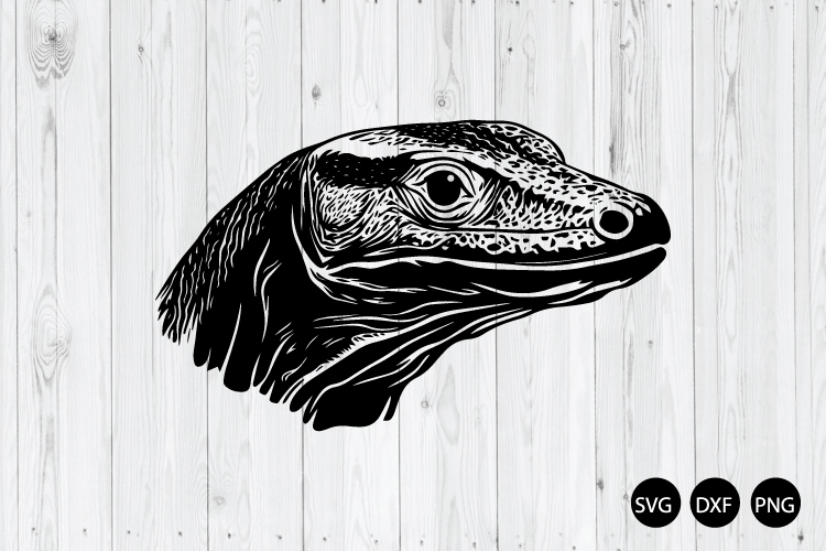 Lizard Png Image 8