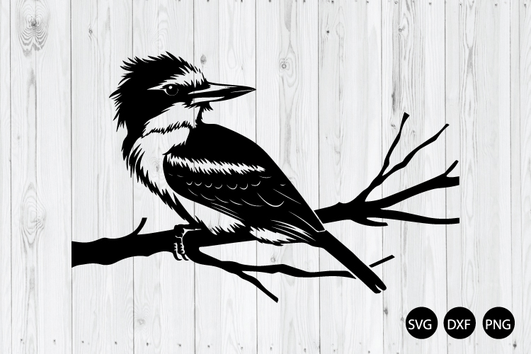 Kookaburra SVG, Australian Kookaburra SVG, Bird SVG