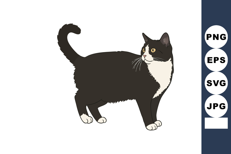 Black and white cat standing looking sideways vector illustr