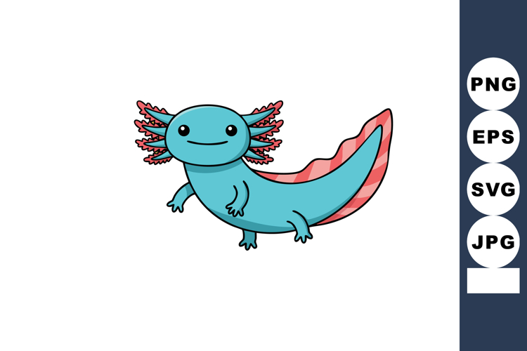 Axolotl Illustration Image 8