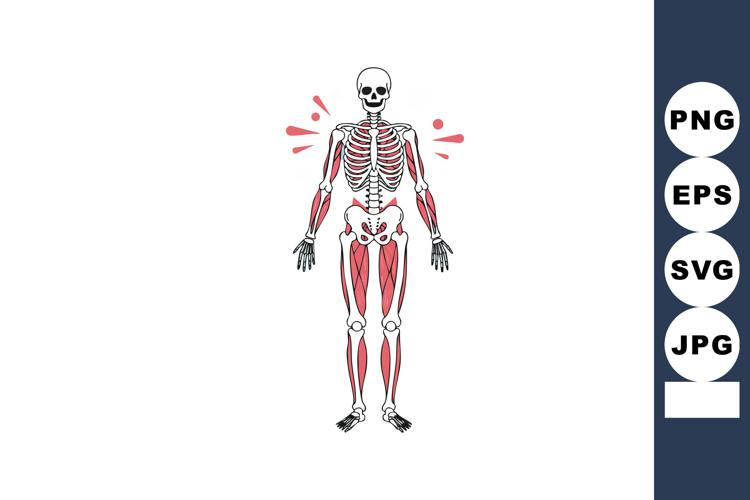 Muscles Clipart Image 2