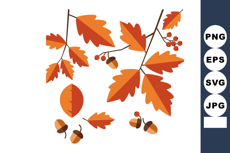 Acorn Vector Image 7