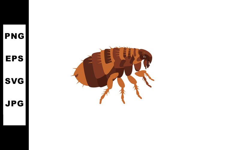 Bug Illustration Image 24