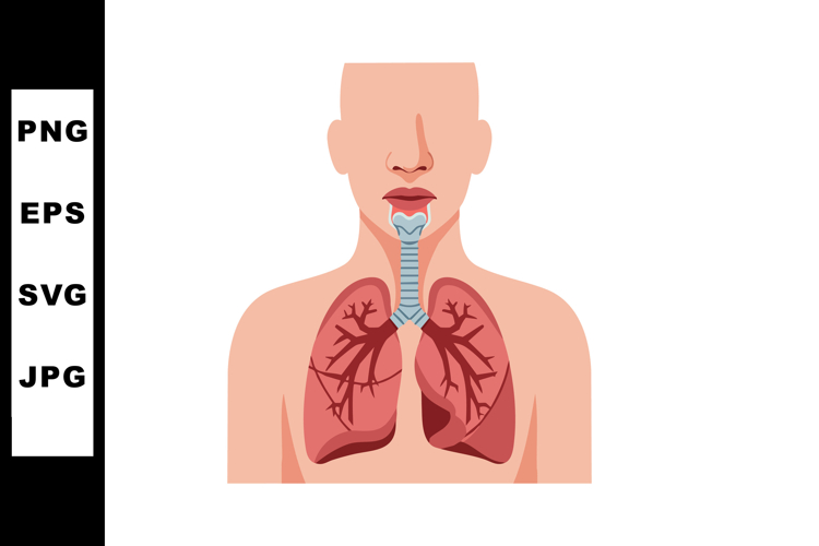 Respiratory Clipart Image 2