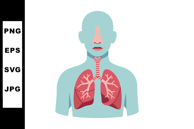 Respiratory Clipart
