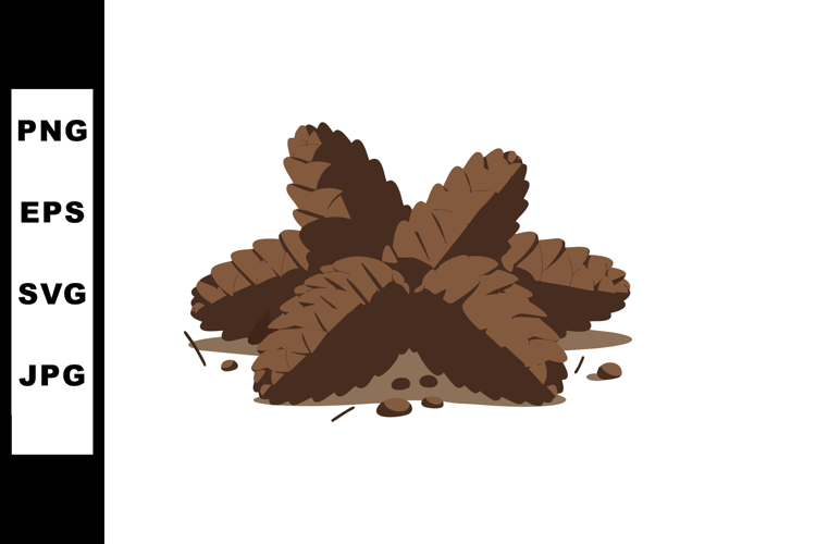Pine cones natural forest elements brown color vector illust