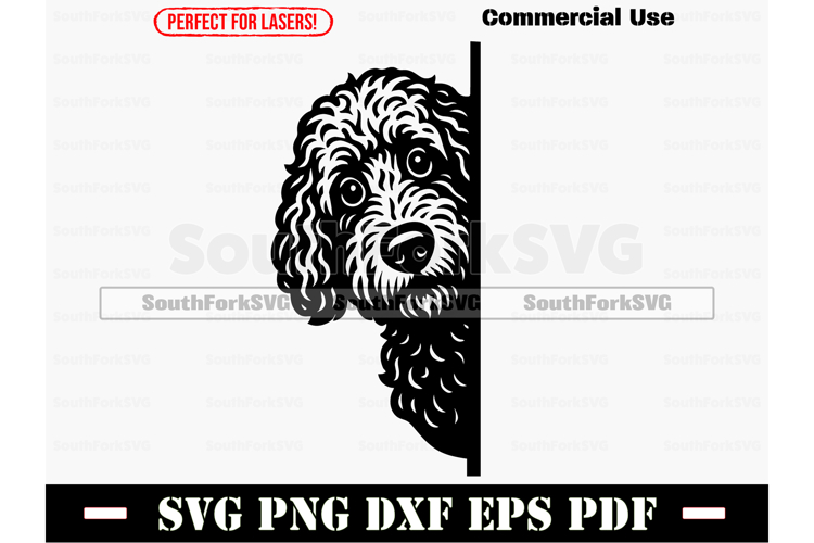 Labradoodle Svg Image 23
