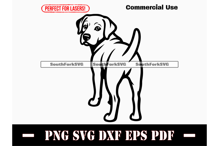 Labrador Clipart Image 7