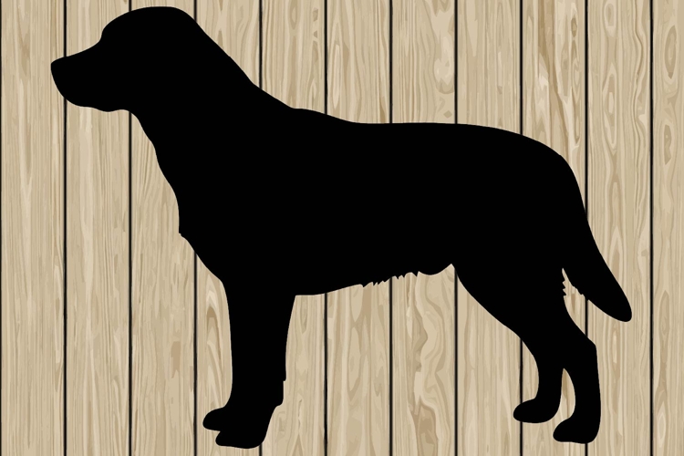 Running Svg Image 9