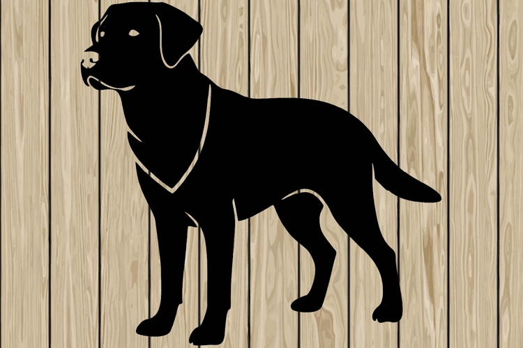 Running Svg Image 22