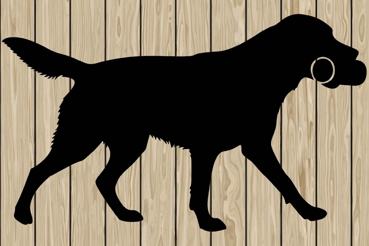Running Svg Image 21