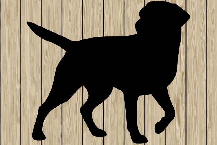 Running Svg Image 19
