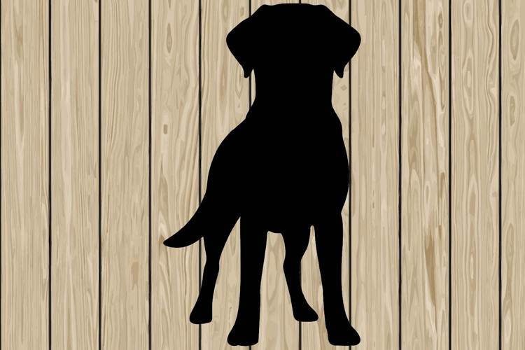 Running Svg Image 17