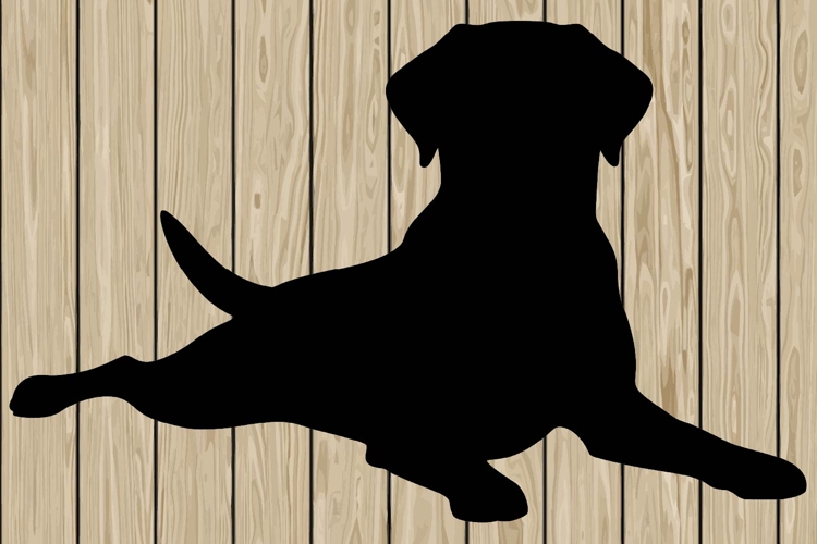 Running Svg Image 16