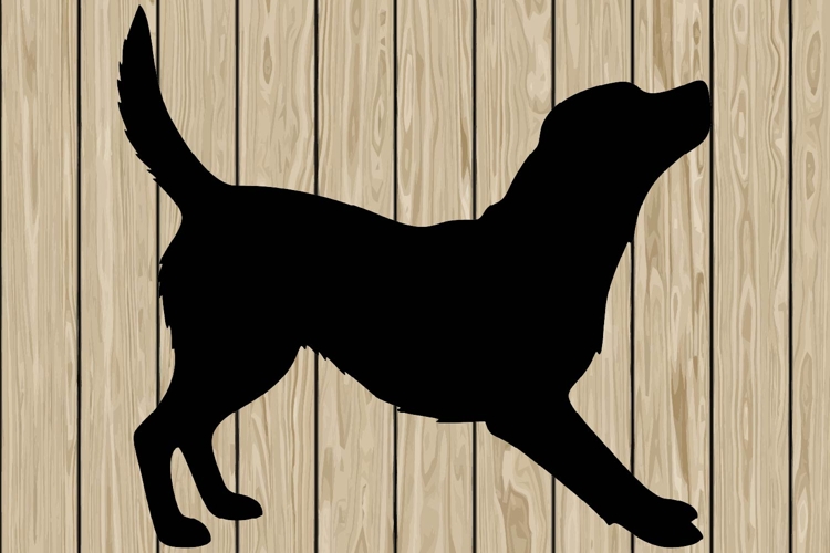 Running Svg Image 7