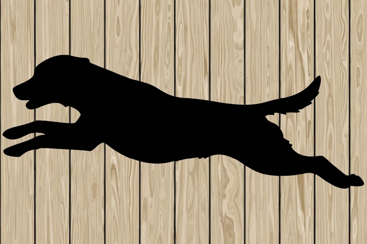 Running Svg Image 11