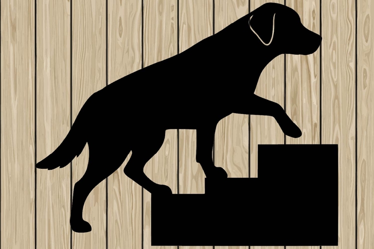 Running Svg Image 10
