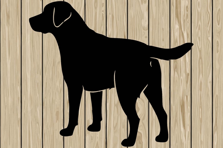 Running Svg Image 9