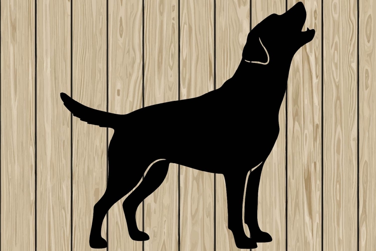 Running Svg Image 8