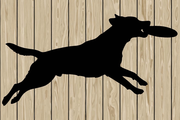 Running Svg Image 6