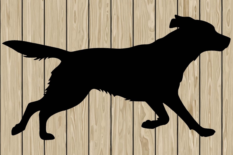Running Svg Image 4