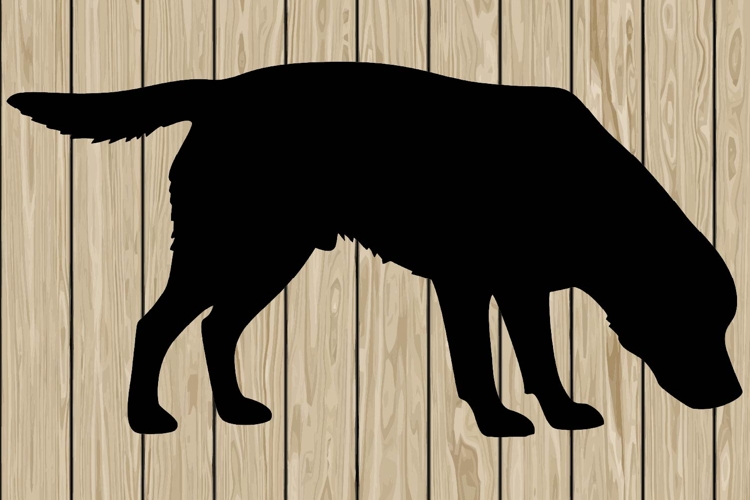 Running Svg Image 3