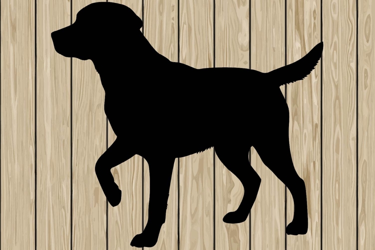 Running Svg Image 2