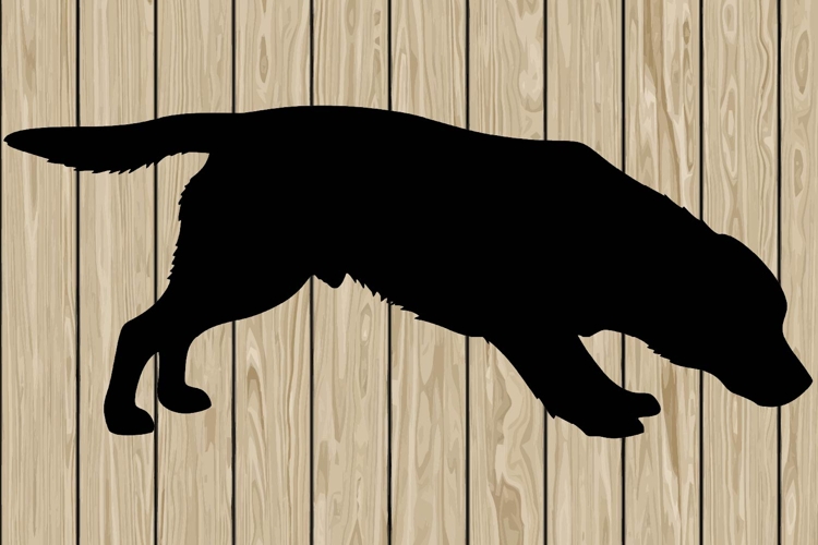 Running Svg Image 24