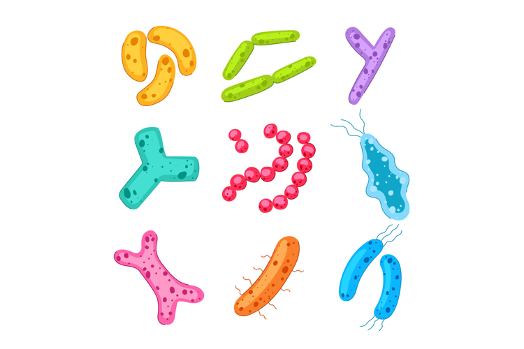 Diverse bacteria and microorganisms creating human microbiom