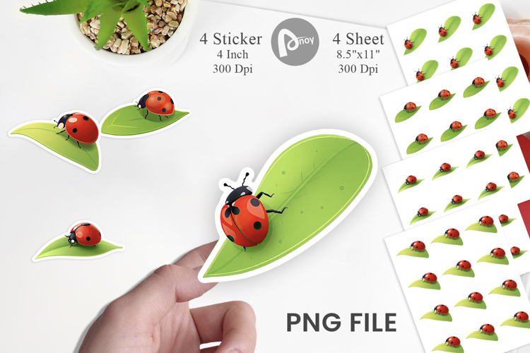 Ladybug Png