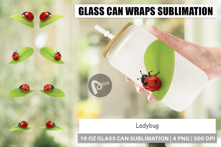 Ladybug Clipart Image 19