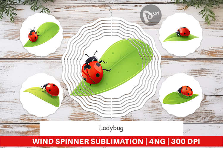 Ladybug Clipart Image 6